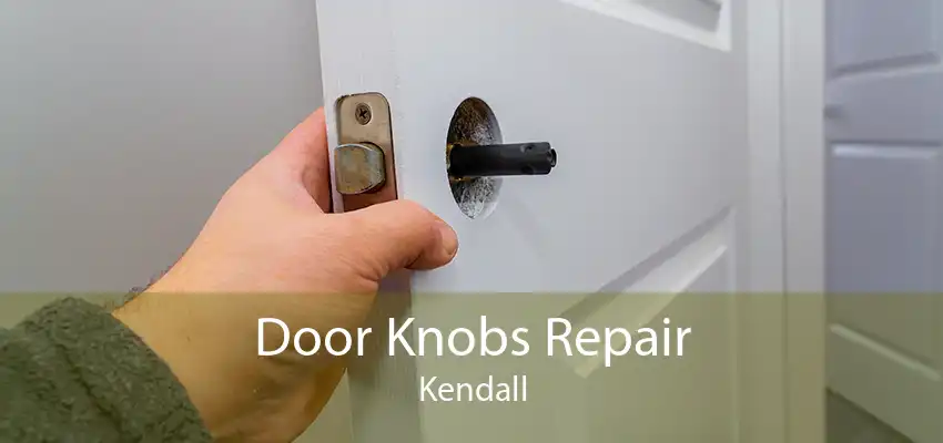 Door Knobs Repair Kendall